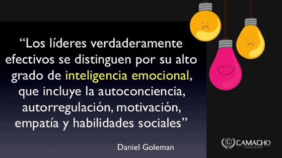 Formación en Inteligencia Emocional y Liderazgo. Un nuevo estilo de Management 3 Inteligenciaemocionalyliderazgo2
